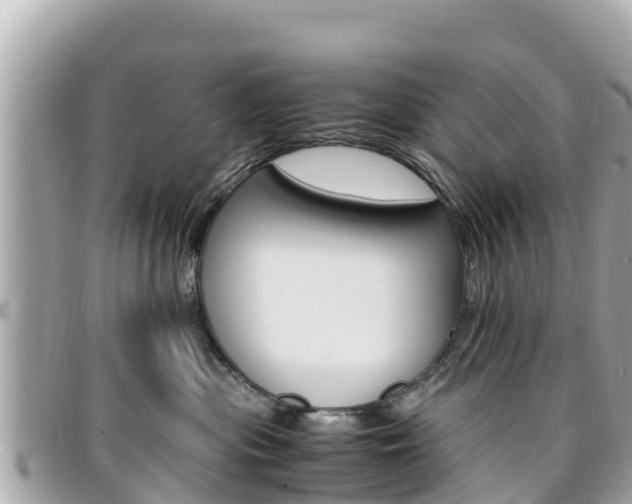 X0000095520477200712140913