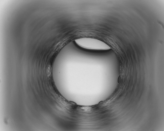 X0000095520478200712140913