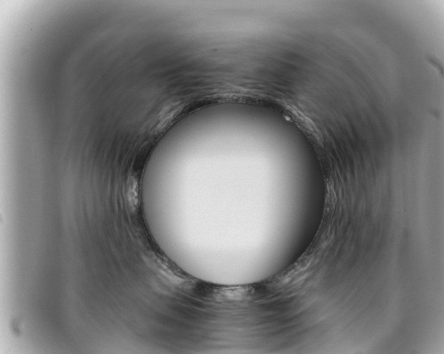 X0000095520479200712140913