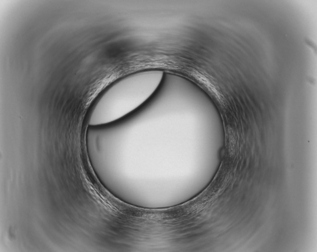 X0000095520482200712140913
