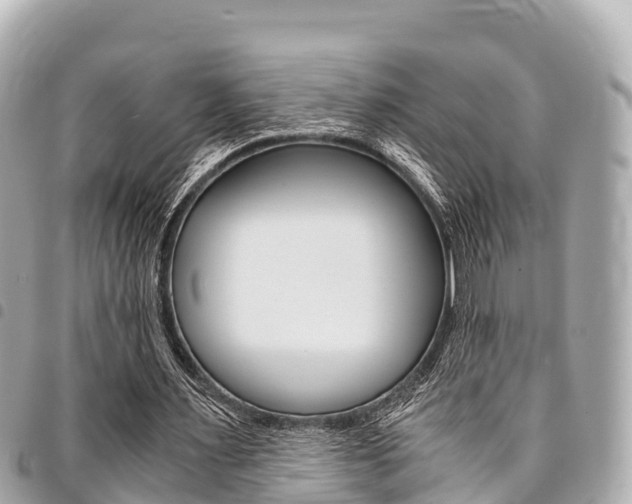X0000095520483200712140913