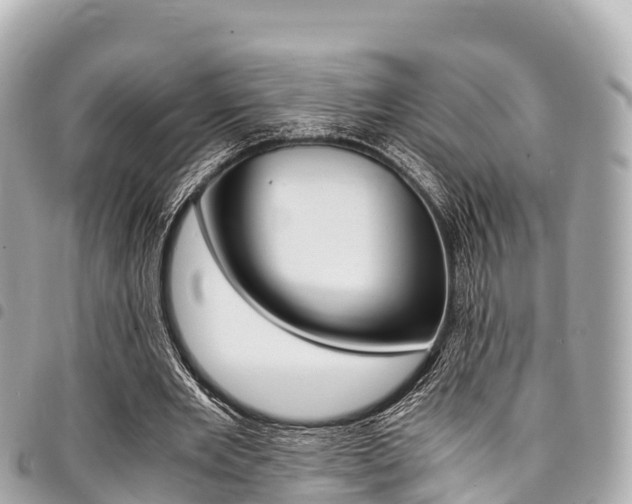 X0000095520485200712140913