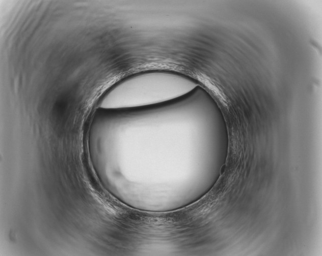 X0000095520486200712140913