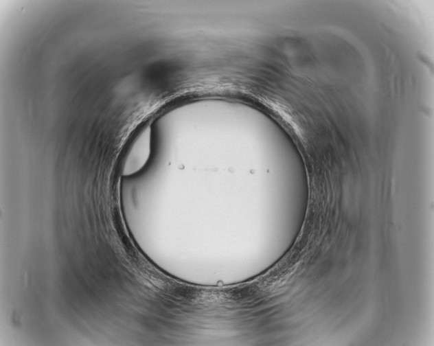 X0000095520487200712140913