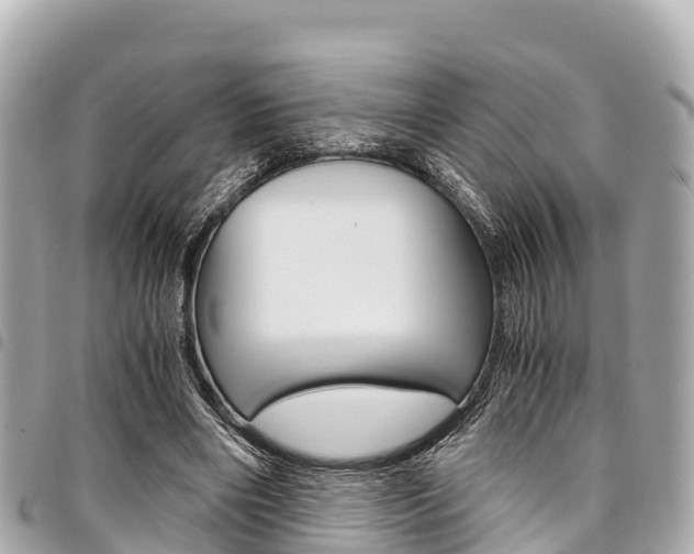 X0000095520490200712140913