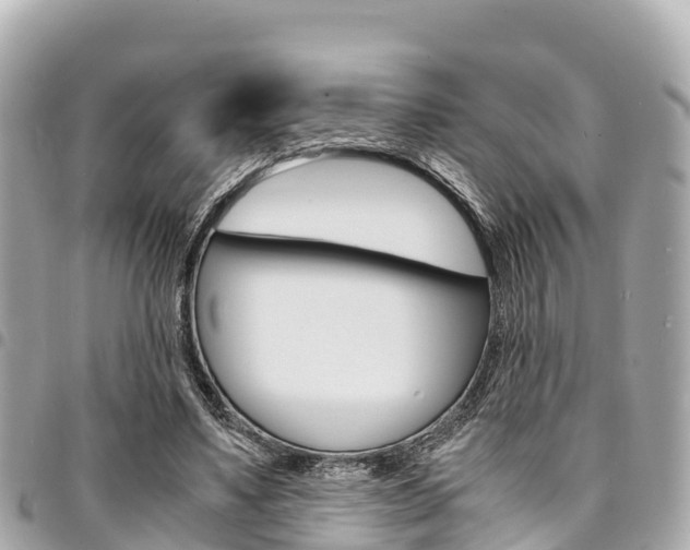 X0000095520491200712140912