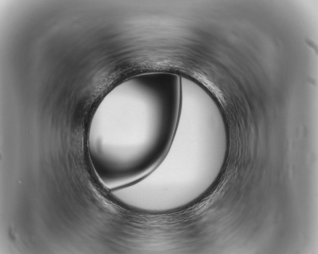 X0000095520493200712140912