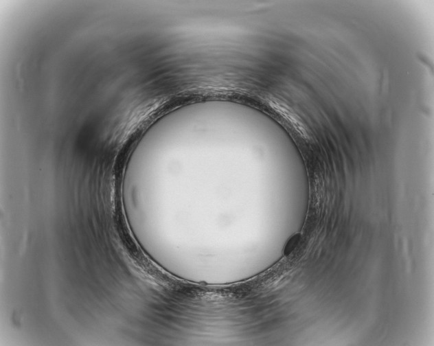 X0000095520494200712140912