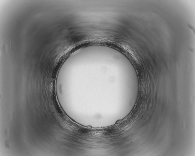 X0000095520495200712140912