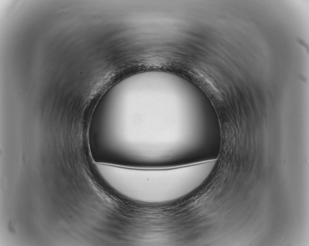 X0000095520496200712140912