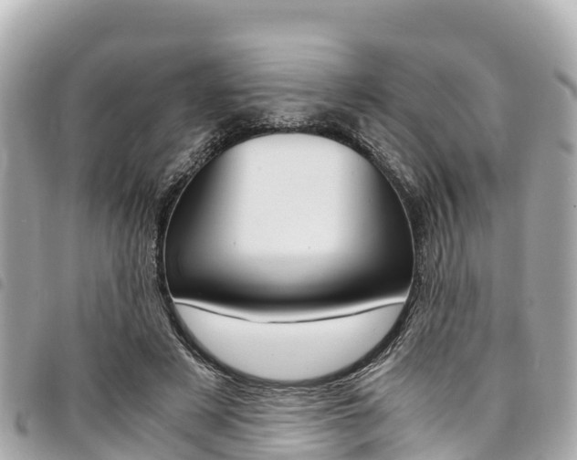 X0000095520497200712140912
