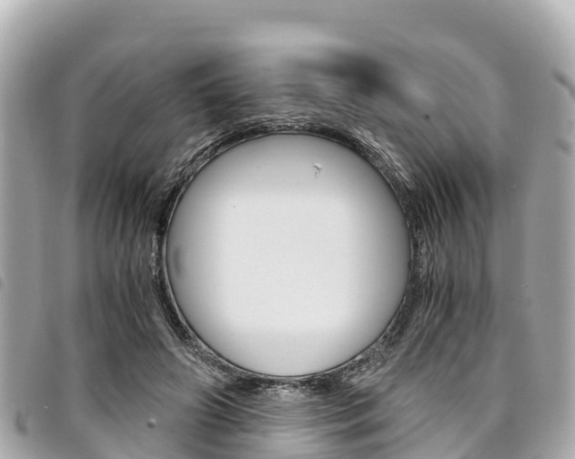 X0000095520498200712140912