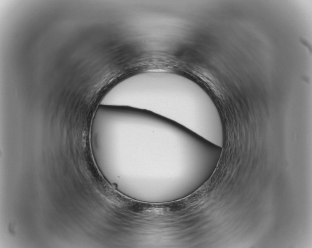 X0000095520499200712140912