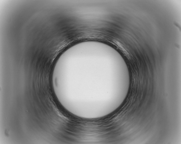 X0000095520500200712140912