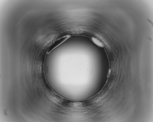 X0000095520501200712140912