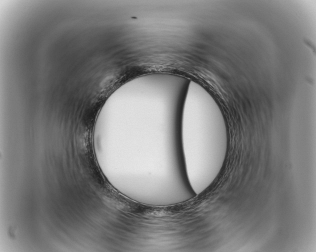 X0000095520503200712140912