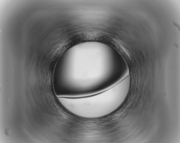X0000095520505200712140912