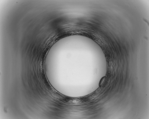 X0000095520506200712140912