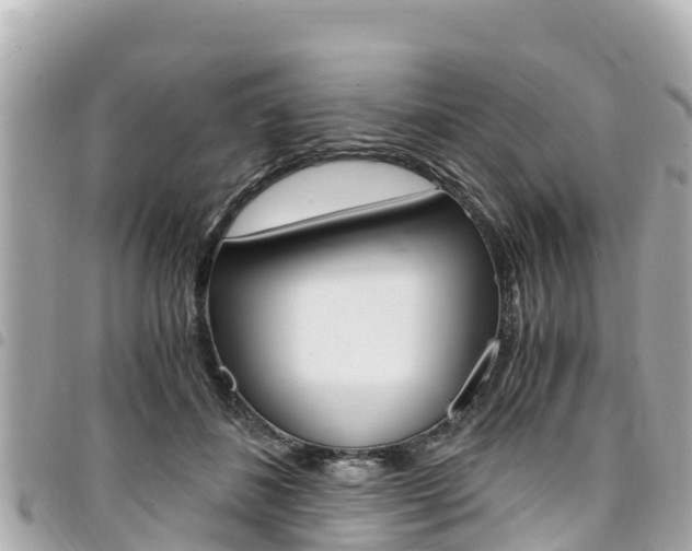 X0000095520508200712140912