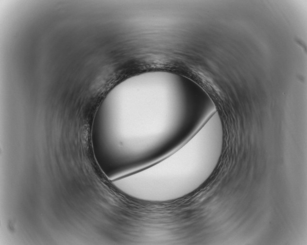 X0000095520509200712140912