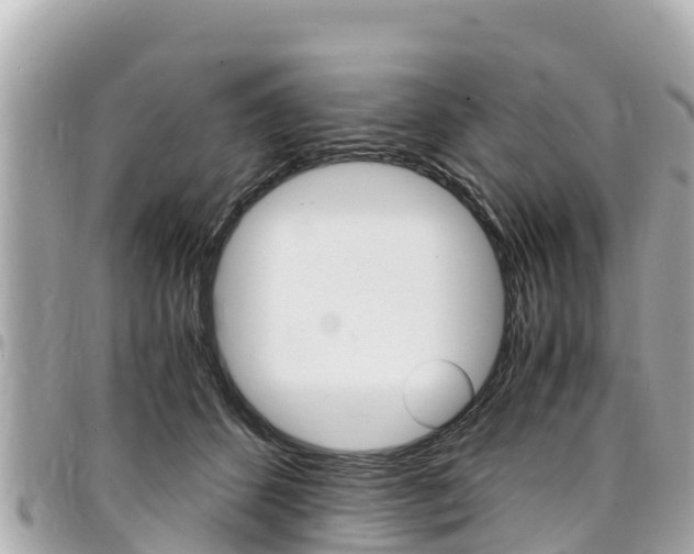 X0000095520512200712140912