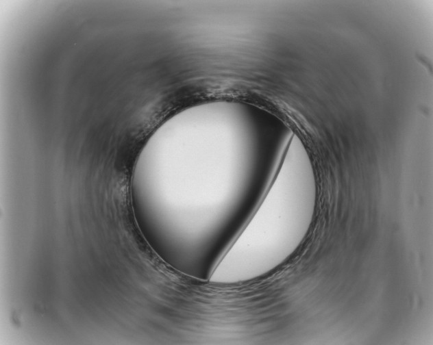 X0000095520513200712140912
