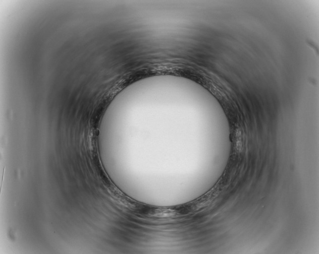 X0000095520514200712140912