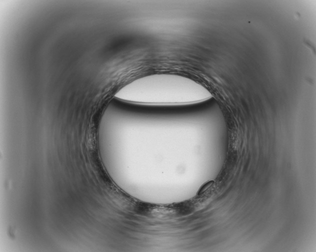 X0000095520515200712140912