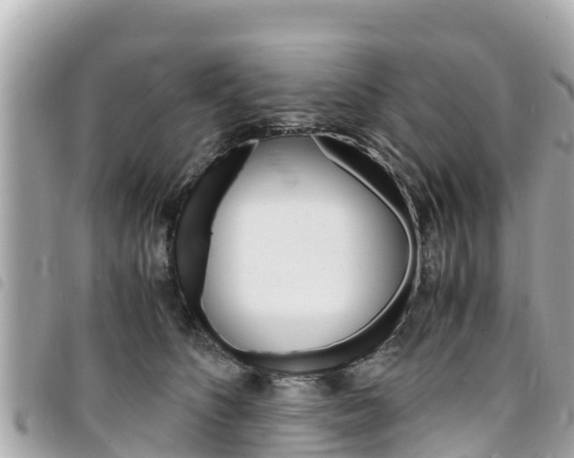 X0000095520516200712140912