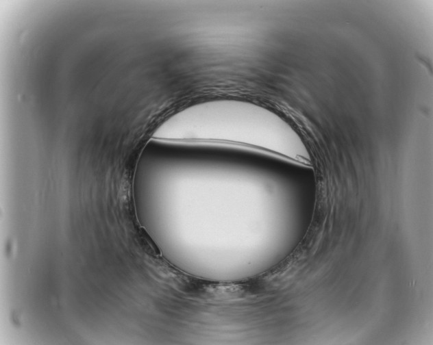 X0000095520517200712140912