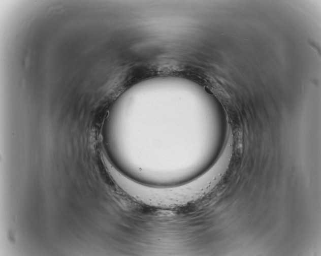 X0000095520519200712140912