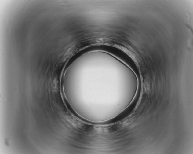 X0000095520520200712140912