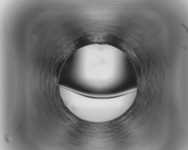 X0000095520521200712140912