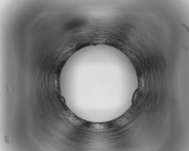 X0000095520522200712140912