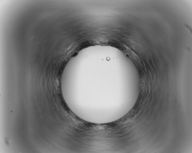 X0000095520523200712140912