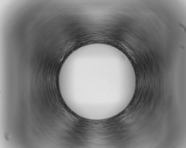 X0000095520524200712140912