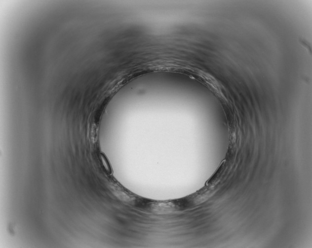X0000095520525200712140912