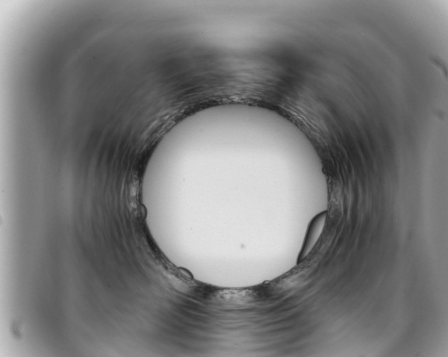 X0000095520526200712140912