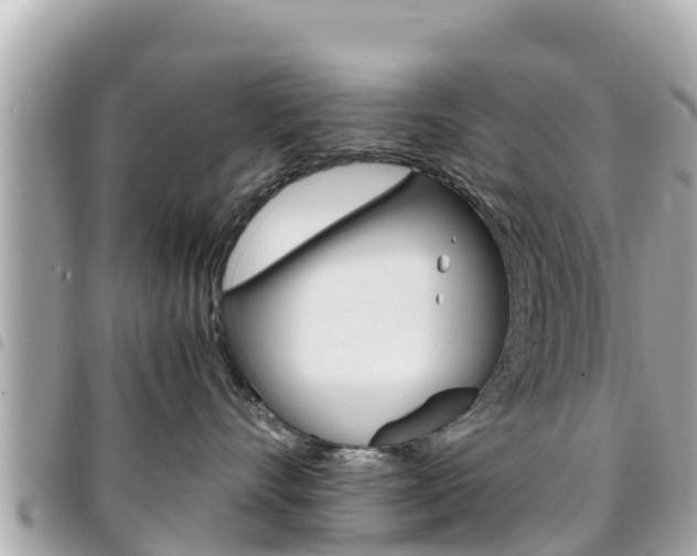 X0000095520528200712140912