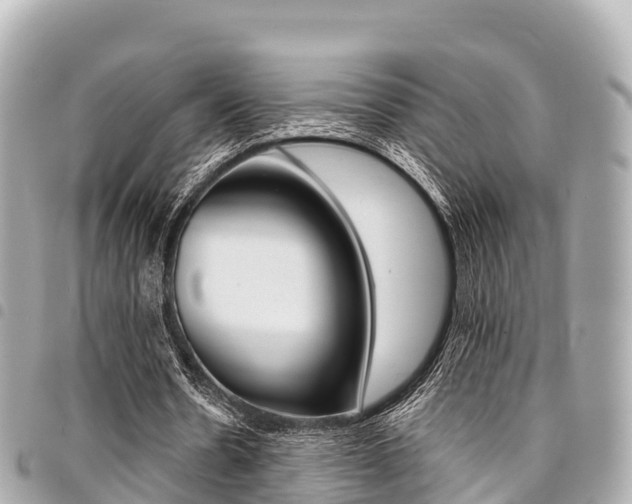 X0000095520530200712140911