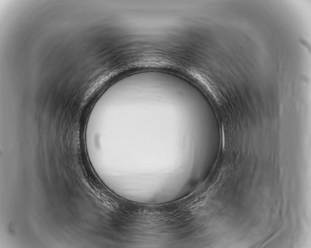 X0000095520531200712140911