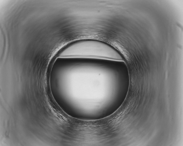 X0000095520532200712140911