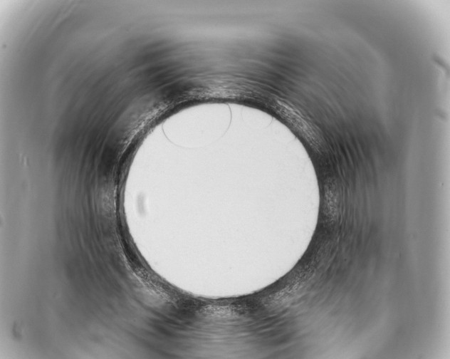 X0000095520534200712140911