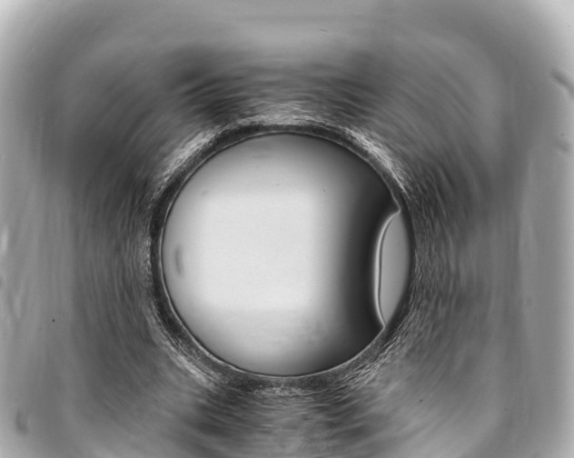 X0000095520535200712140911