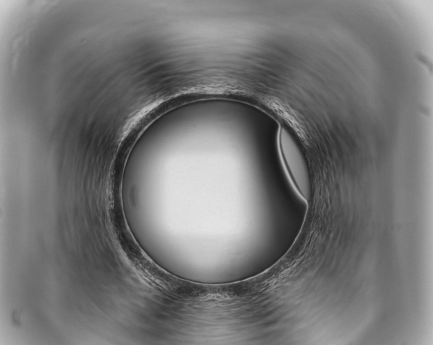 X0000095520536200712140911