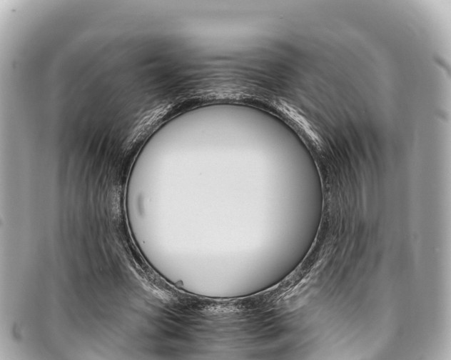 X0000095520537200712140911