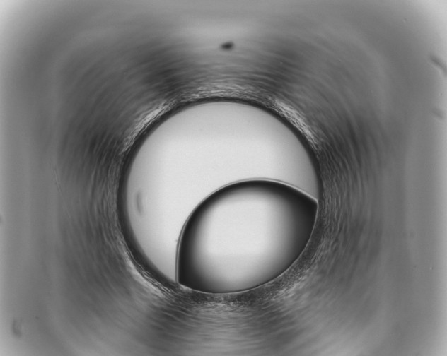 X0000095520538200712140911