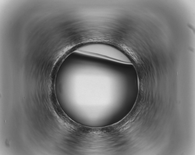 X0000095520540200712140911