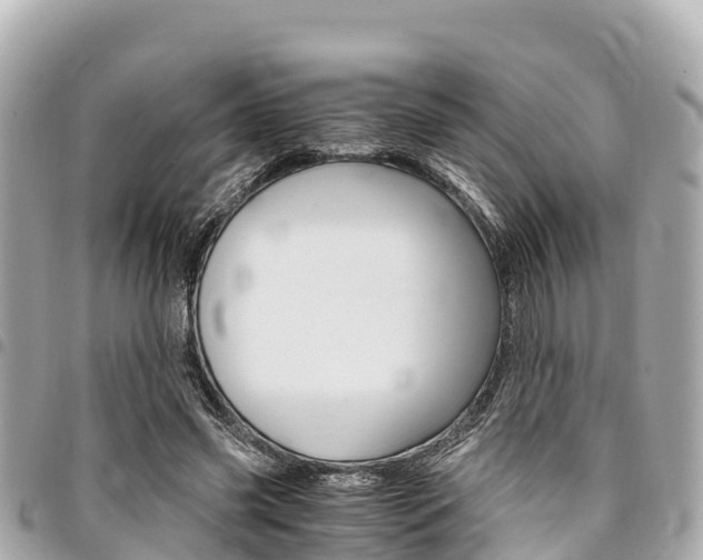 X0000095520541200712140911