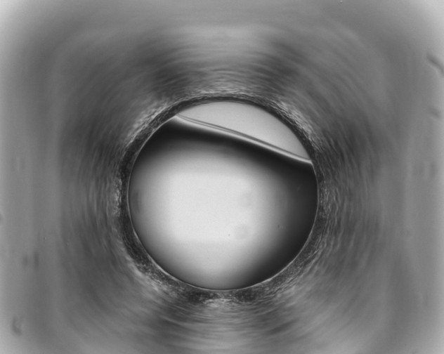 X0000095520544200712140912